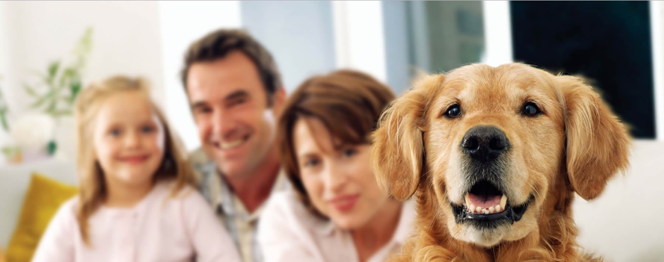 Fit Active – dla psów i kotów